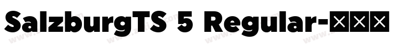 SalzburgTS 5 Regular字体转换